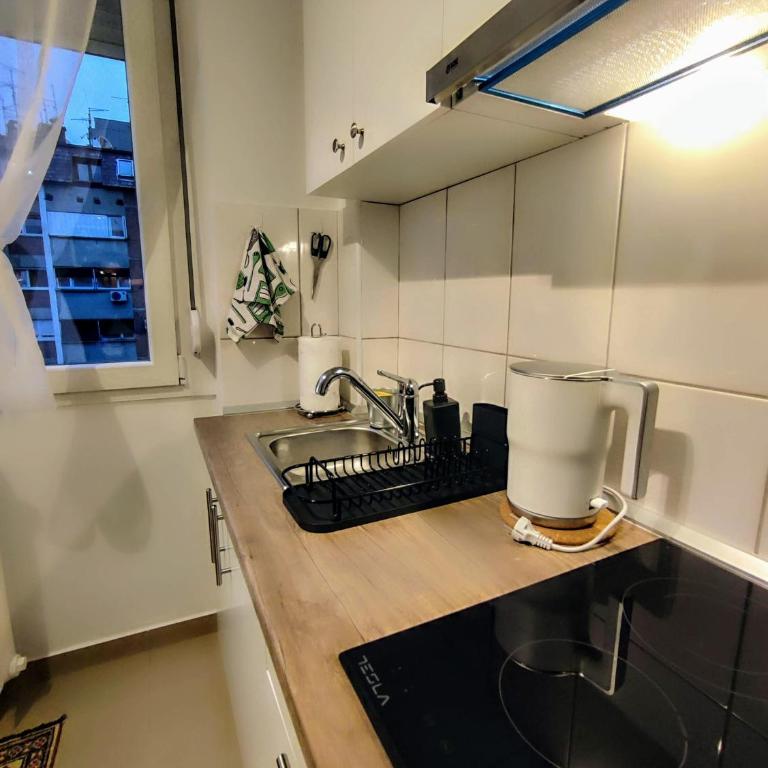 Tasmajdan City Break - Apartman sa 1 Spavaćom Sobom - 23