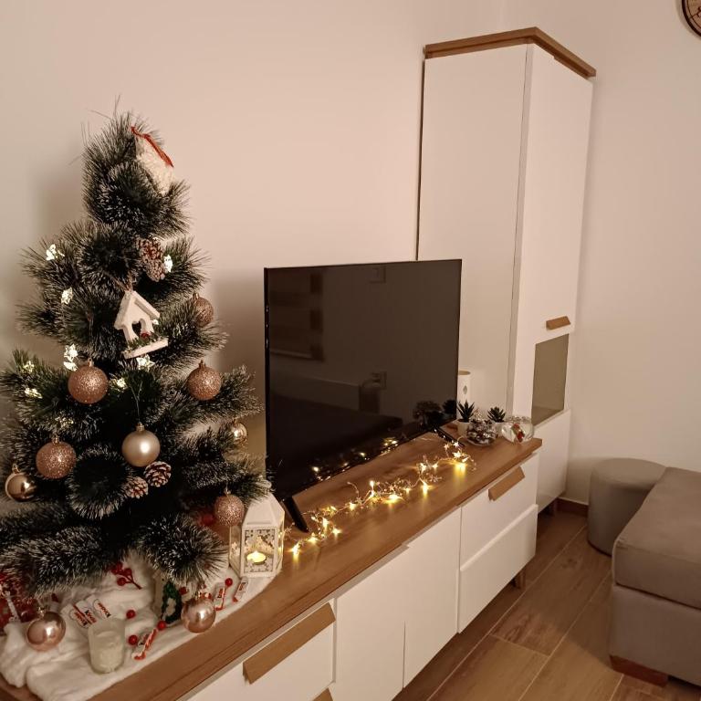 Apartman Meseceva dolina - Apartman sa 1 Spavaćom Sobom - 12