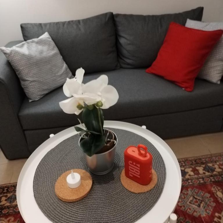 Tasmajdan City Break - Apartman sa 1 Spavaćom Sobom - 24