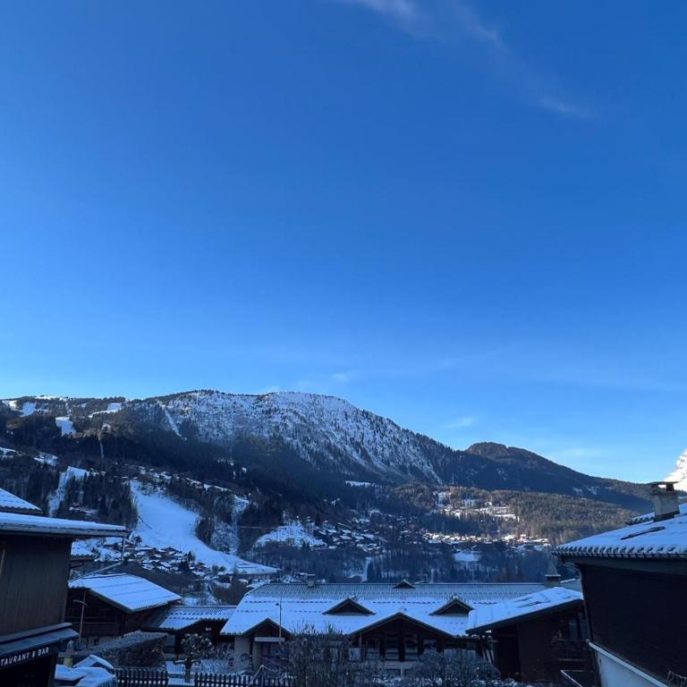 Appartement 2pieces Hyper Centre Les Houches, proche Chamonix - Appartement 1 Chambre - 11