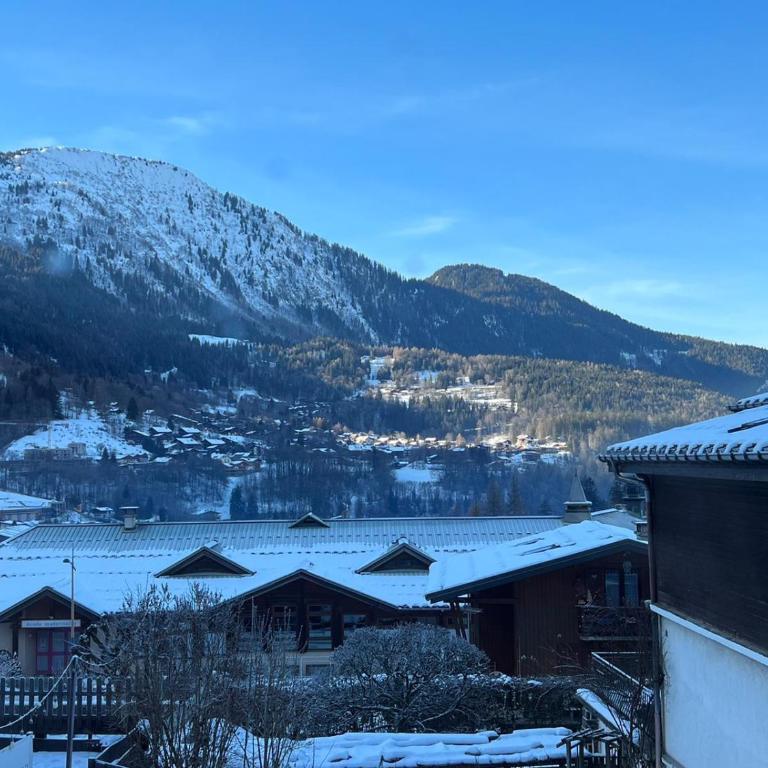 Appartement 2pieces Hyper Centre Les Houches, proche Chamonix - Appartement 1 Chambre - 12