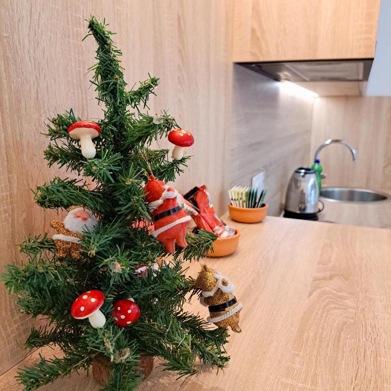 LanaMarija Apartment - Apartman sa 1 Spavaćom Sobom - 17