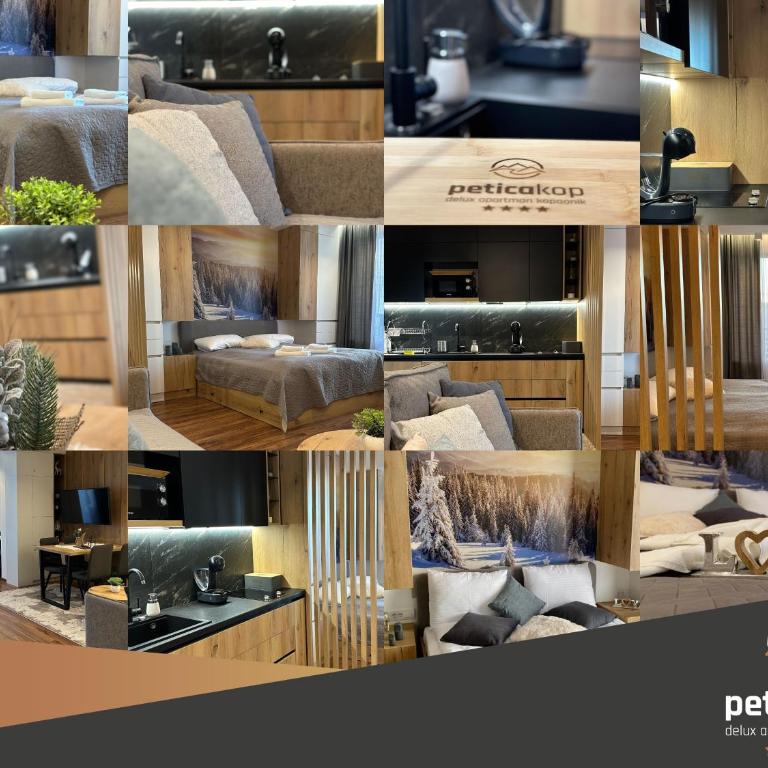 Apartman PETICA KOP A8 Kopaonik - King Studio with Sofa Bed - 2