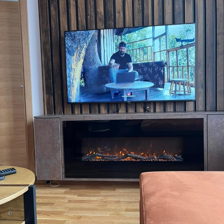 Apartman Sofy Kraljevi Čardaci - One-Bedroom Apartment - 2