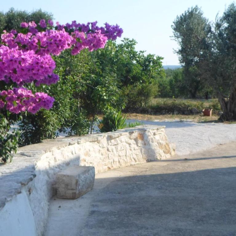 Trulli Carlo Anna - Villa con 2 Camere da Letto - 53