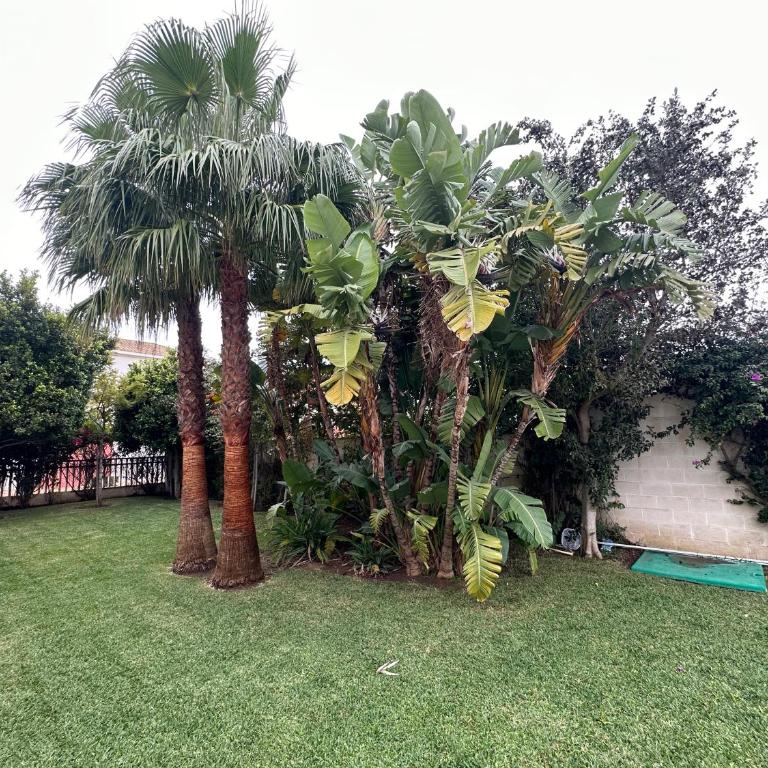Villa Los Pinares de Monaco en Roche, Conil, Cádiz - Villa - 46