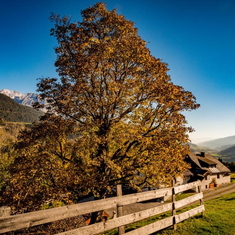 Ahornhütte - Ferienhaus - 31