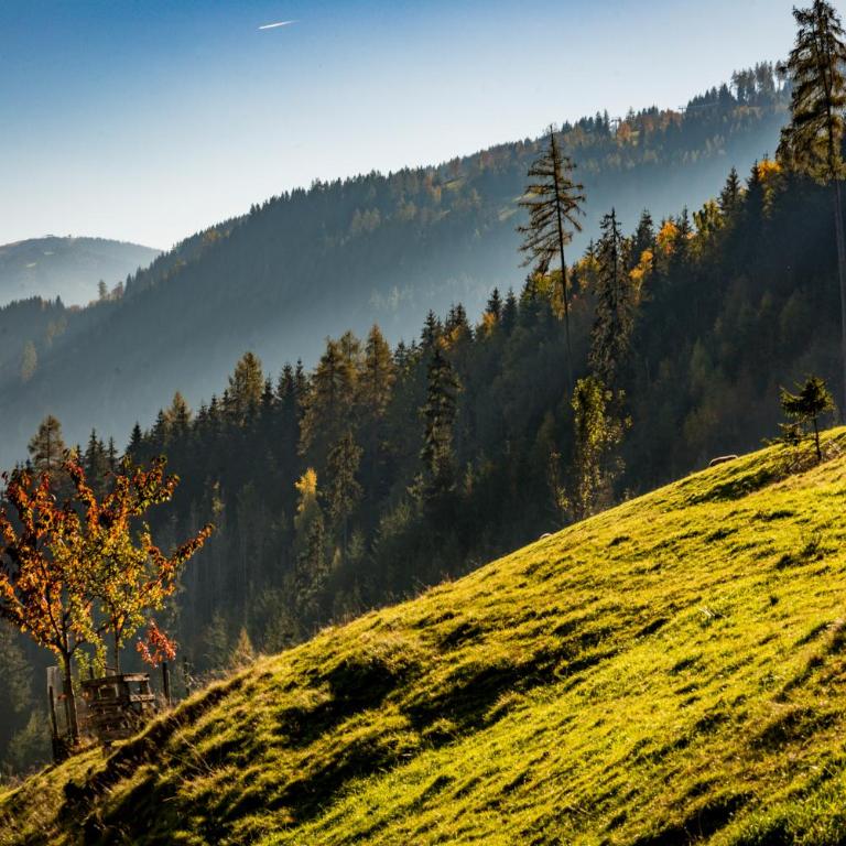 Ahornhütte - Ferienhaus - 36