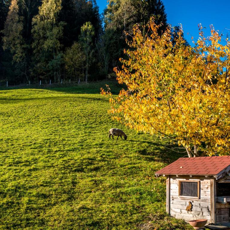 Ahornhütte - Ferienhaus - 39