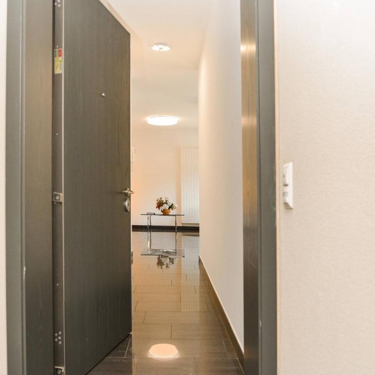 Central Plaza Apartment Br in Lugano - Appartamento - 17