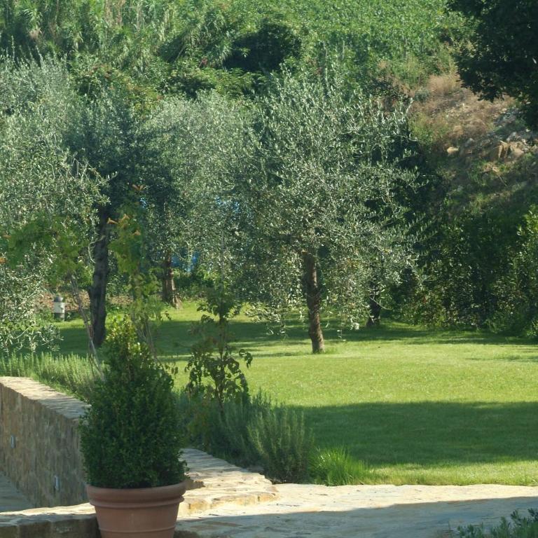 Borgo Canalicchio Di Sopra Relais - Appartement 1 Chambre - 3