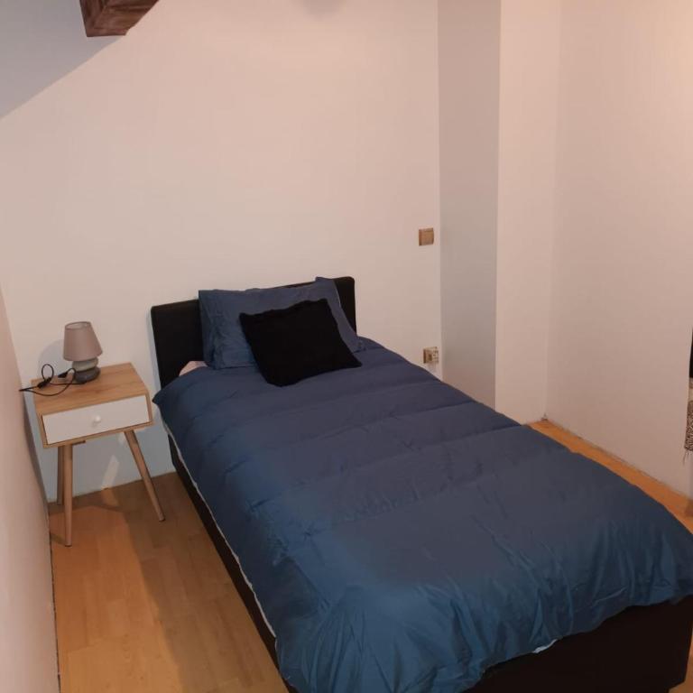 Au pied des montagnes. - Appartement 1 Chambre - 13