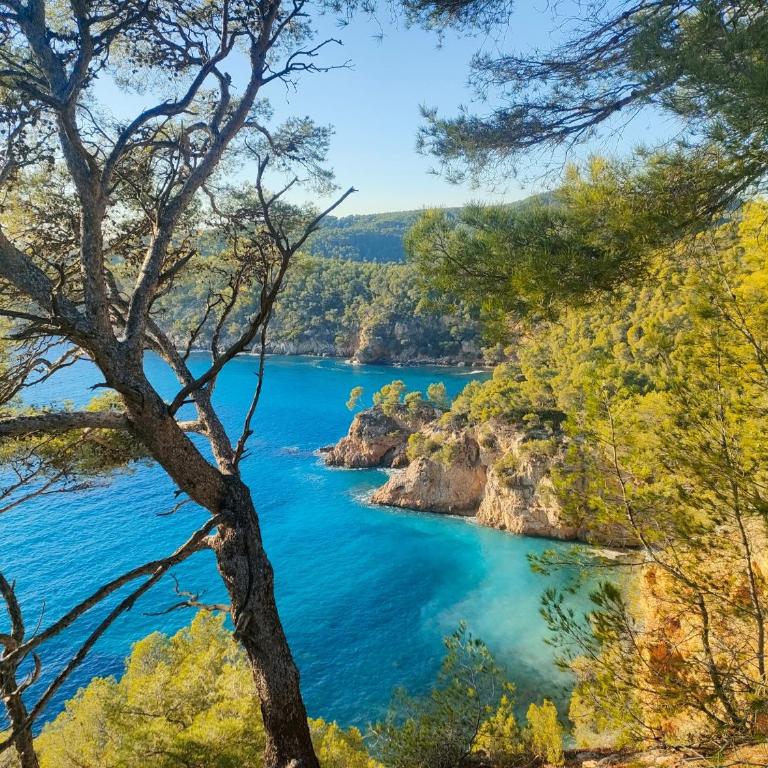 T3 Saint Cyr sur Mer 83270 - Appartement 2 Chambres - 13