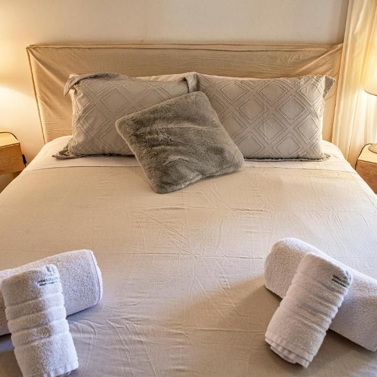 Terrazas del Bosque Aparts - One-Bedroom Apartment - 9