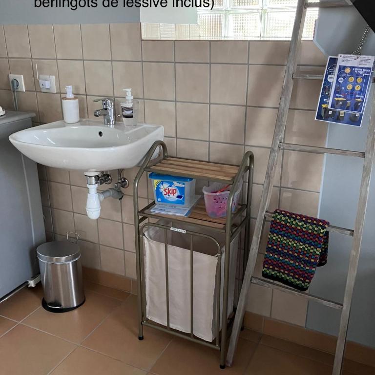 Horte neuve - Appartement 1 Chambre - 14
