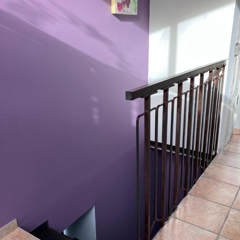 Horte neuve - Appartement 1 Chambre - 15