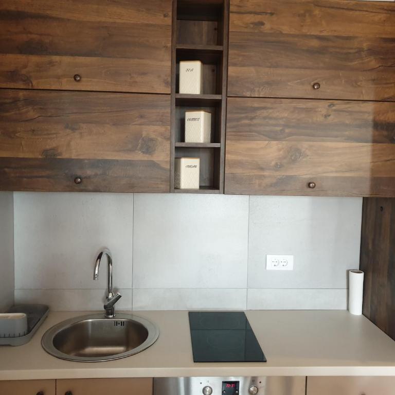 Apartman Sofy Kraljevi Čardaci - One-Bedroom Apartment - 9