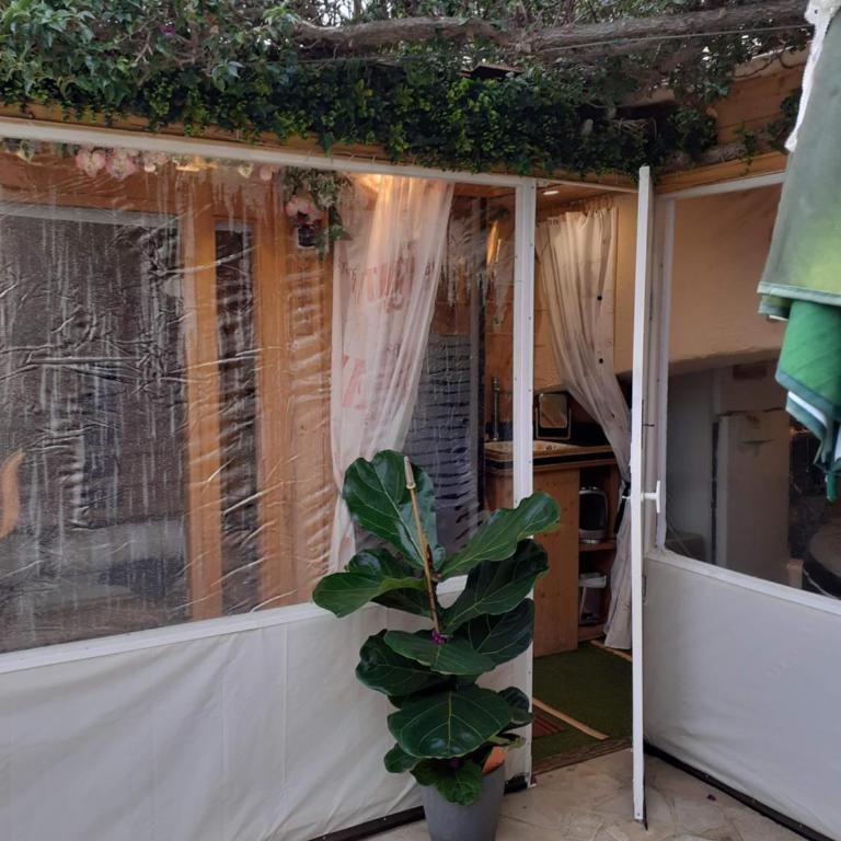NOUVEAU ! Chambre d'Hôte Insolite PRIVEE " CŒURS DE PIRATES à BALI EN PROVENCE" SPA SAUNA MASSAGES dans cadre EXOTIQUE d'Aménagements EXTÉRIEURS D'EXCEPTION ÉTÉ comme HIVER BIENVENUE !!! - Chambre Double - Vue sur Mer - 7