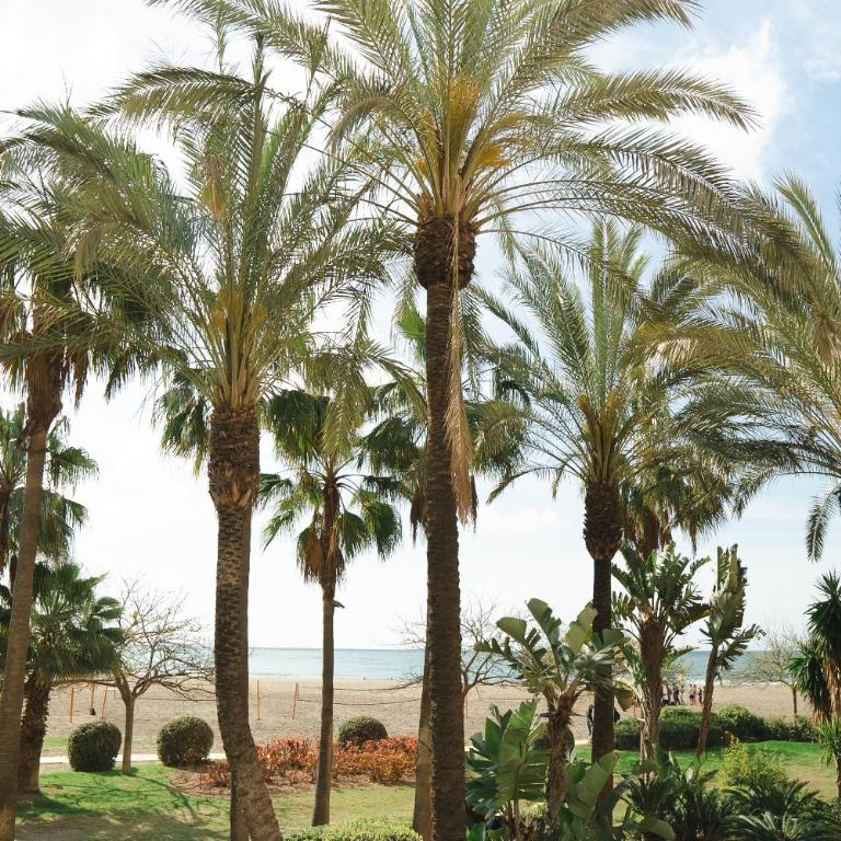 VB Amapolas 2BDR Sea views & relax - Two-Bedroom Apartment - 32