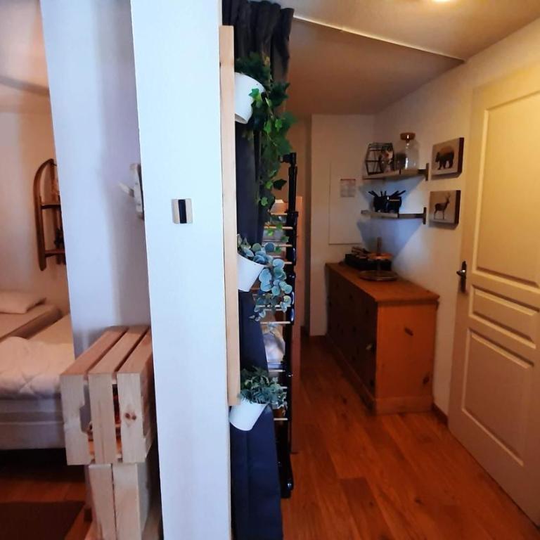 Chaleureux appartement aux pieds des pistes - Appartamento con 2 Camere da Letto - 11