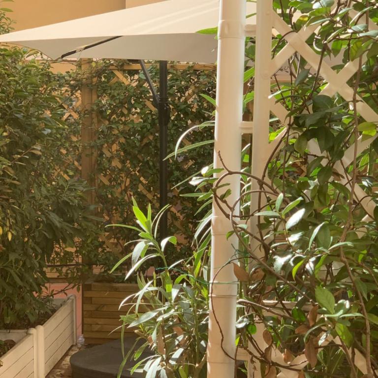 UGO BASSI LUX apartment - Studio with Terrace - 3