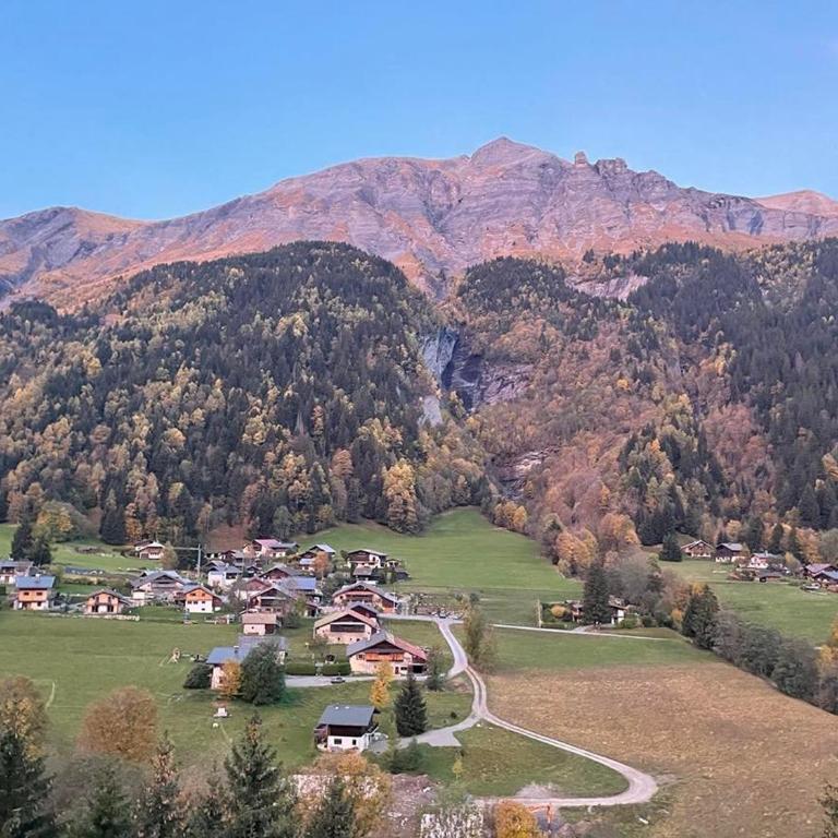 Cozy studio au centre du village & superbe vue - Appartamento Monolocale - 15