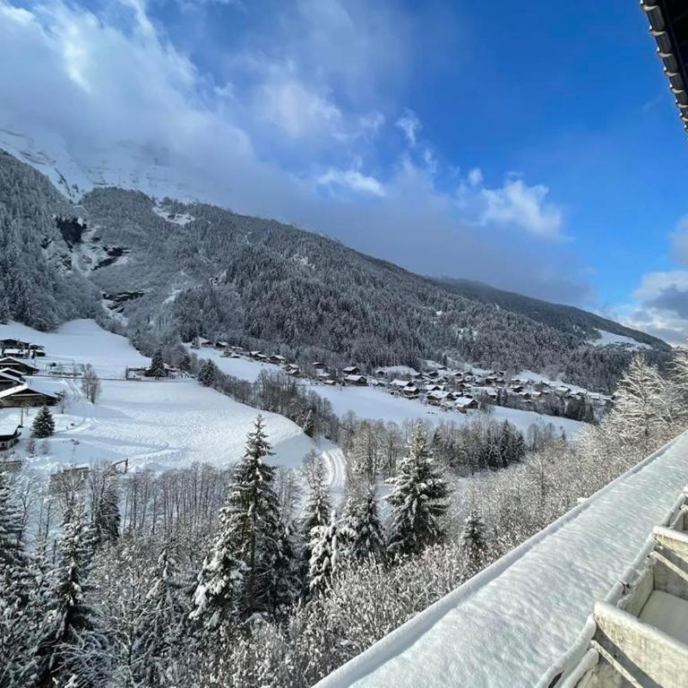 Cozy studio au centre du village & superbe vue - Appartamento Monolocale - 8