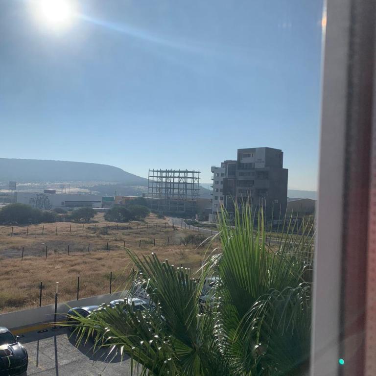Extended Suites Queretaro Juriquilla - Suite - 1
