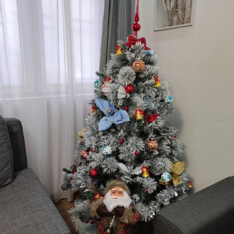 Apartments Wolf - Apartman sa 1 Spavaćom Sobom - 3