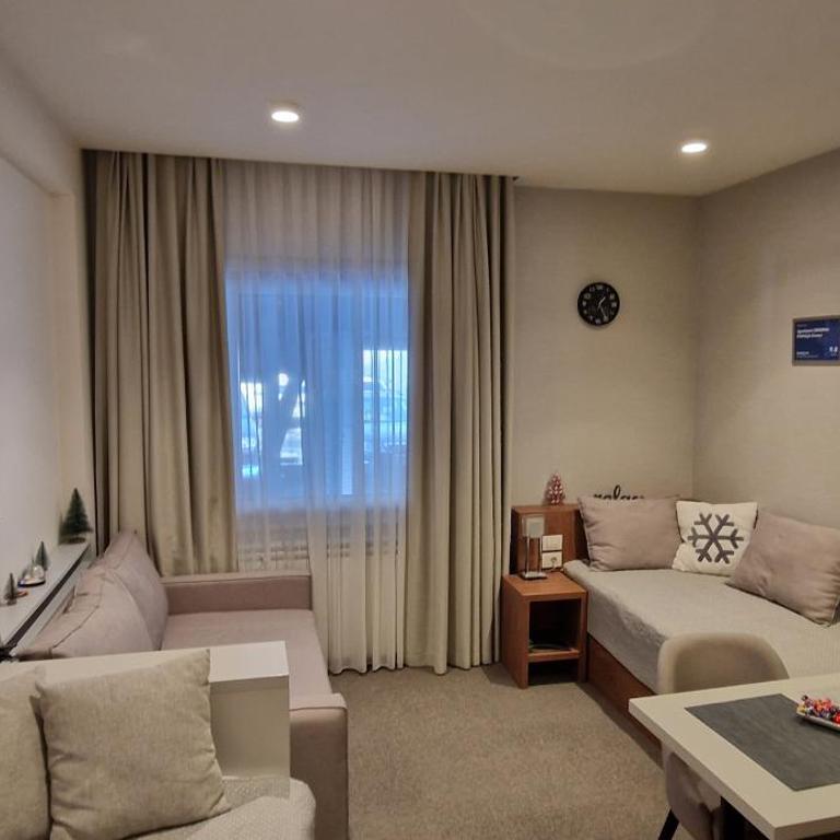 Apartman SREBRNA PAHULjA-Konaci - Studio - 28