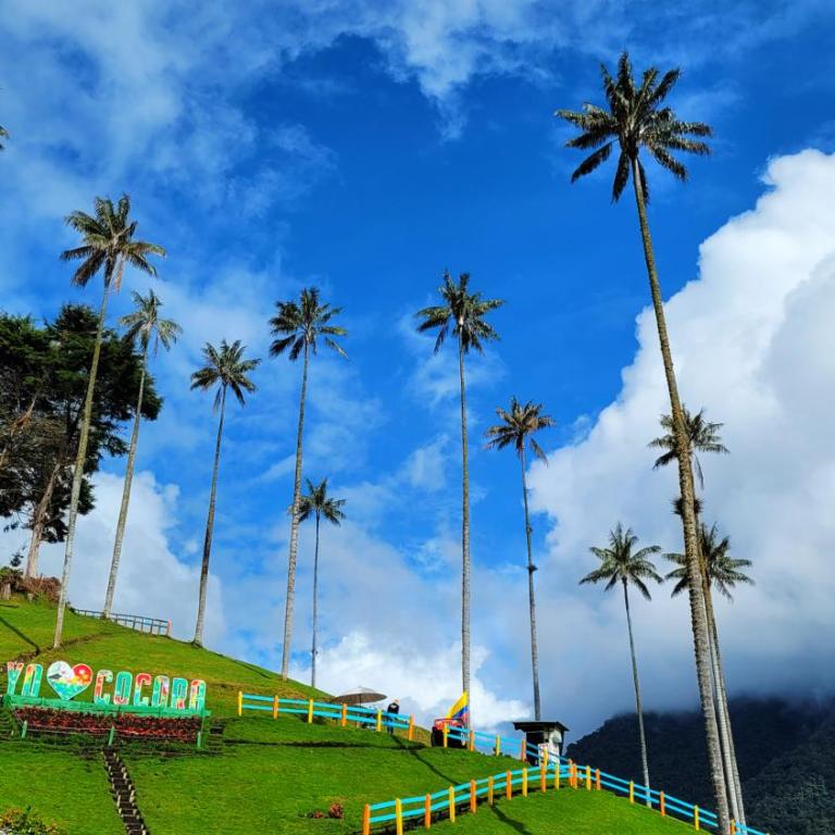 APARTAMENTO en el QUINDÍO cerca al PARQUE DEL CAFÉ - Apartamento de 2 dormitorios - 28