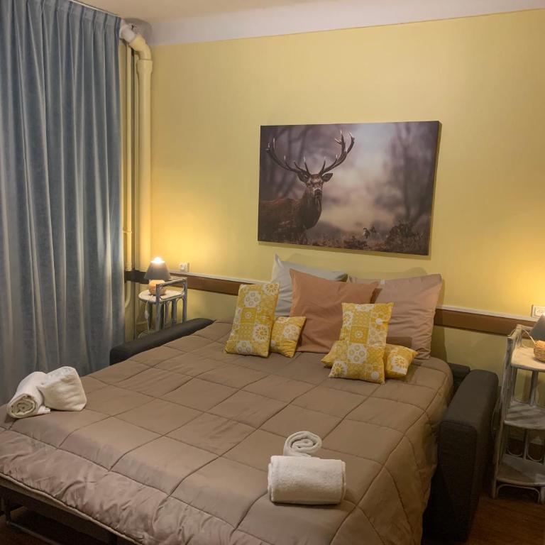 Hôtel Du Cheval Blanc Barcelonnette - Habitación con cama extragrande - Adaptada para personas de movilidad reducida - 3