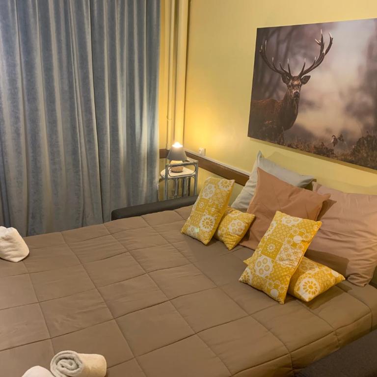 Hôtel Du Cheval Blanc Barcelonnette - Habitación con cama extragrande - Adaptada para personas de movilidad reducida - 6