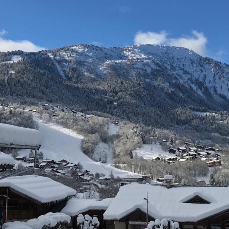 Appartement 2pieces Hyper Centre Les Houches, proche Chamonix - Appartement 1 Chambre - 10