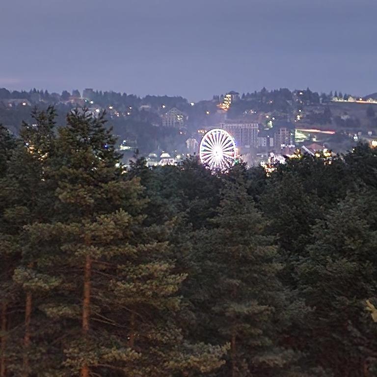 Zlatibor Royal Dream - One-Bedroom Apartment - 31