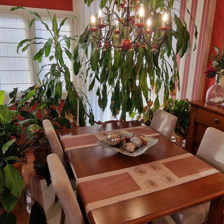 Casa Anabel - Con garaje, 3 hab, 2 baños - VUT-3777-AS - Apartamento de 3 dormitorios - 36