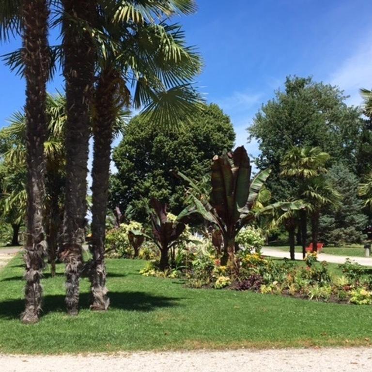 Appartement T2 Neuf Centre Arcachon, Proche Plage, Parking Inclus - FR-1-374-94 - Apartment (2 Erwachsene) - 22
