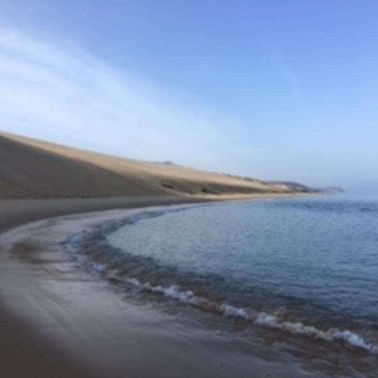 Appartement T2 Neuf Centre Arcachon, Proche Plage, Parking Inclus - FR-1-374-94 - Apartment (2 Erwachsene) - 23