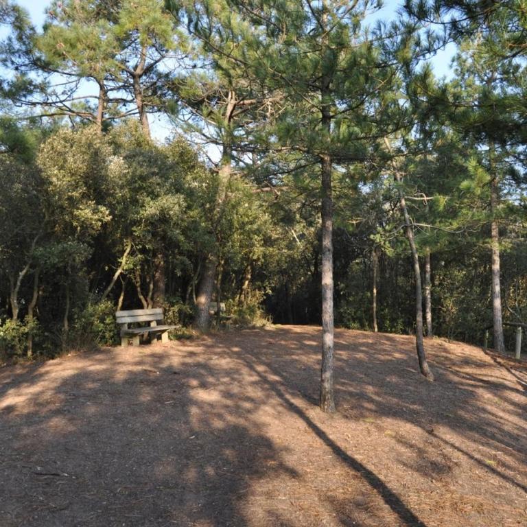 Bel appartement 1 chambre pour 5 personnes au bord de la mer à Saint-Jean-de-Monts - FR-1-323-216 - Apartment (5 Erwachsene) - 3