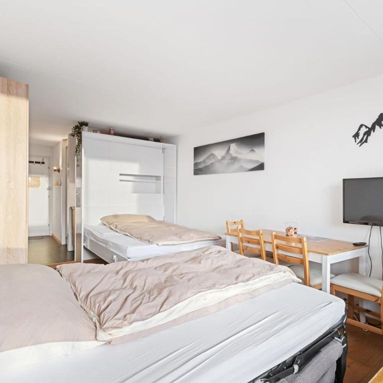 Chaleureux studio à Anzère, accessible à ski, proche de tout - Apartment mit 1 Schlafzimmer - 3