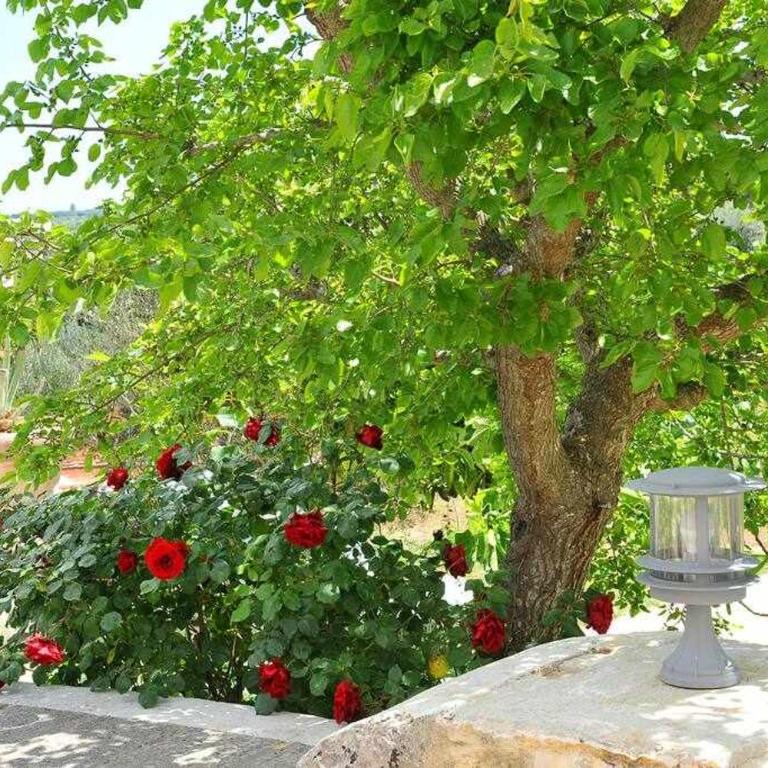 Tenuta Bianca with amazing exclusive pool - Villa con 1 Camera da Letto - 30