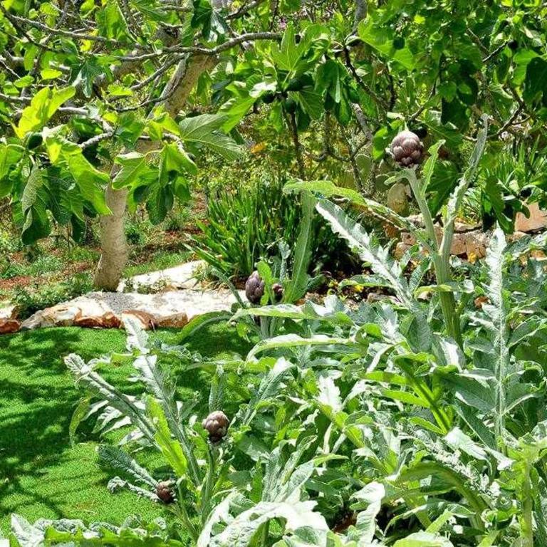 Tenuta Bianca with amazing exclusive pool - Villa con 1 Camera da Letto - 32