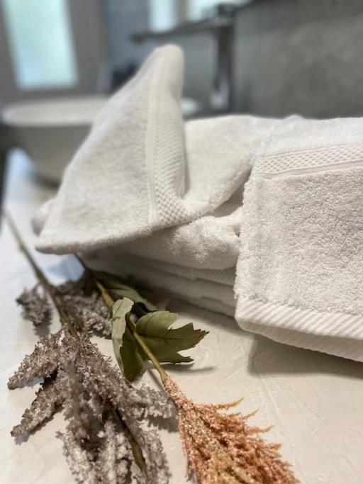 Appartamento a Roma ristrutturato - Apartment mit 1 Schlafzimmer - 35