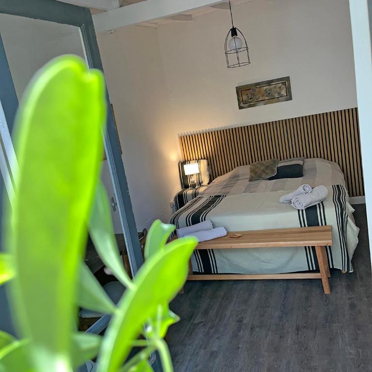 Suite con piscina y parque - Habitación Doble con baño privado - 6