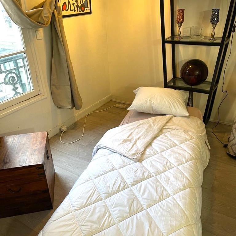 Renovated ! City of Lights, light your visit - Appartement 1 Chambre - 9
