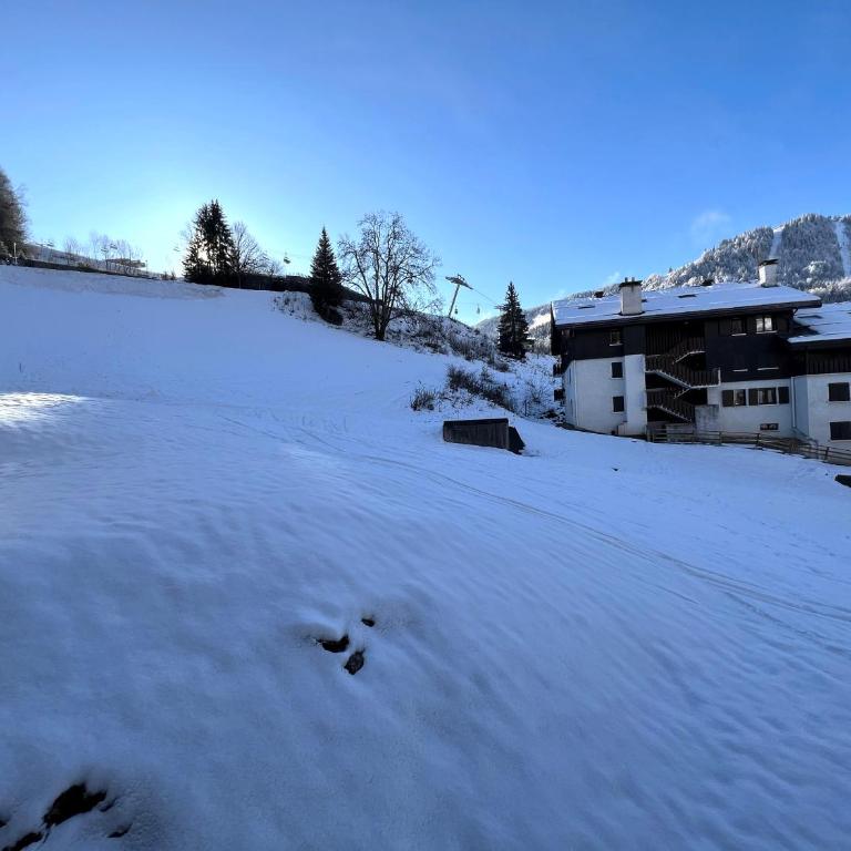 Parnasse 2-203 - Bel appartement sur les pistes de ski et dans le village, au calme - Estudio con balcón - 11