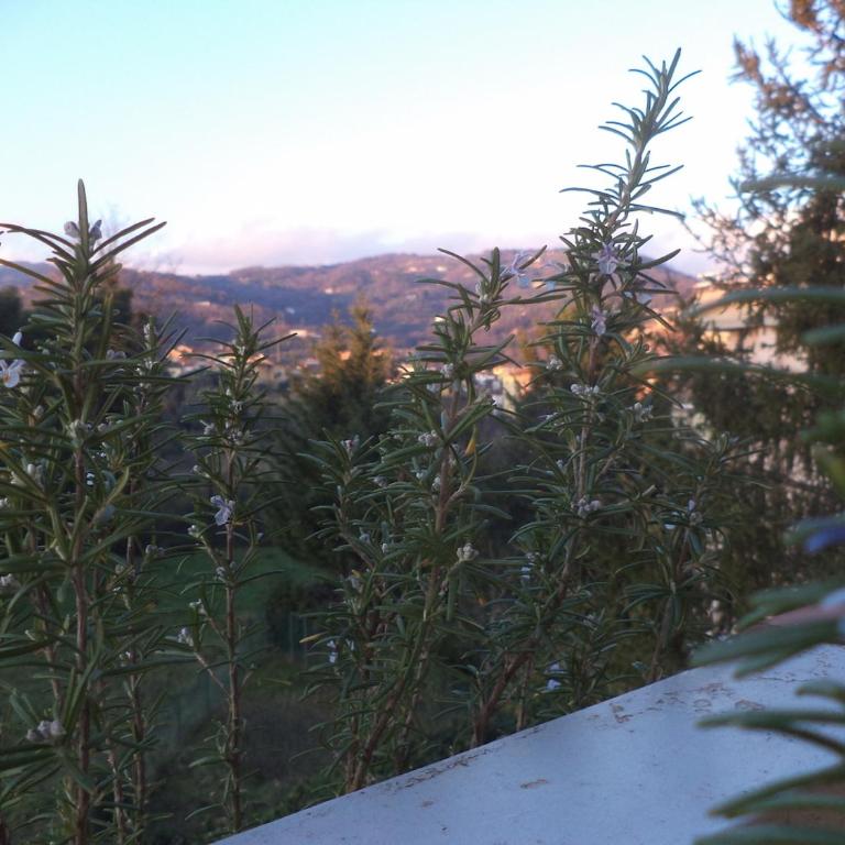 Apartment Montecatini-Terme near Firenze, Lucca, Pisa - Appartamento con 2 Camere da Letto - 33