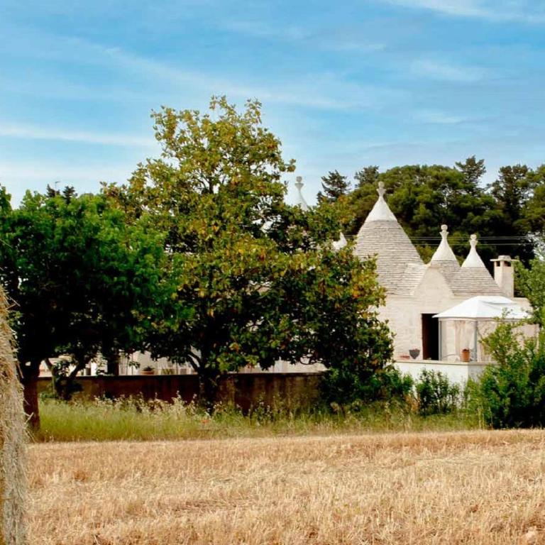 Trulli delle rose - Villa - 49