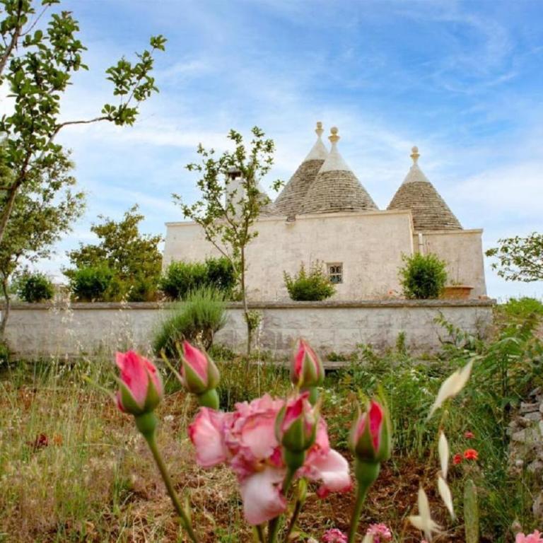 Trulli delle rose - Villa - 39