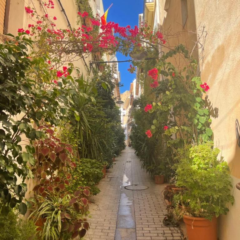 apartment nearby beach and old town Javea - Apartamento de 1 dormitorio - 49